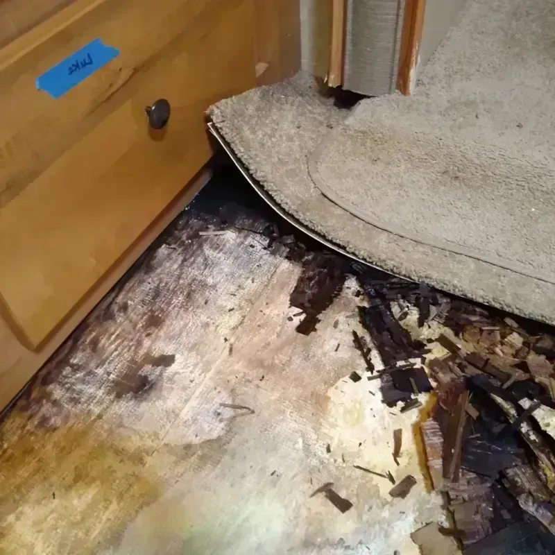 Wood Floor Water Damage in Eagle Point, OR